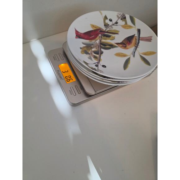 Set of 4 NATIONAL AUDUBON SOCIETY Northern Cardinal 2010 8" Salad Plates - Picture 6 of 6